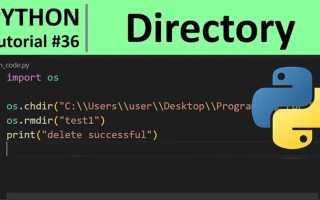 Dir python что это
