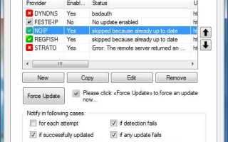 Dynupdate no ip com что это