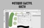 Почему в фотошопе рисует только серым