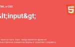Как сделать кнопку внутри input