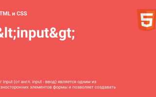 Как сделать кнопку внутри input