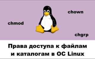Как увеличить размер корневого каталога linux