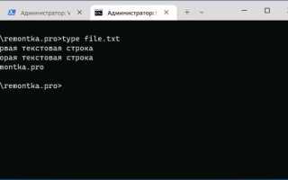 Как вывести содержимое файла proghub txt