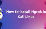 Как установить ngrok kali linux