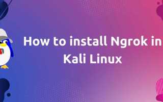 Как установить ngrok kali linux