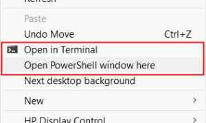 Как открыть файл с помощью powershell