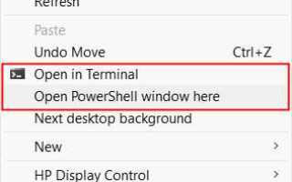 Как открыть файл с помощью powershell