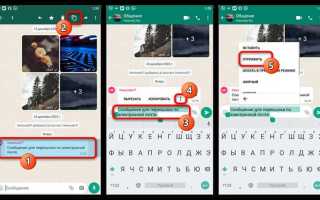 Как отправить what s up в zenly