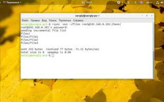 Как примонтировать сетевую папку в linux