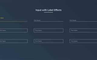 Как вставить иконку в input