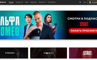 Как оплатить смотрешку без провайдера
