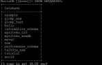 Как создать базу данных в mysql debian