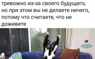 Pofig com форум куда переехал