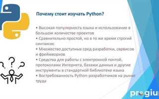 Как написать свою первую программу на python