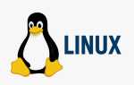 Kali linux как основная система