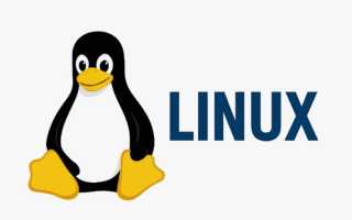 Kali linux как основная система
