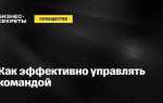 Как эффективно управлять командой