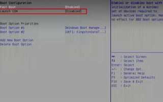 Cms support bios что это