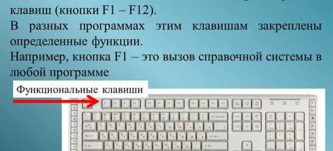 Какие клавиши клавиатуры относятся к функциональным
