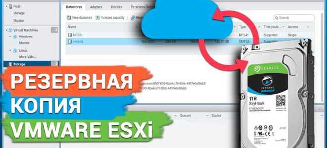 Esxi бесплатная сколько можно запустить виртуалок
