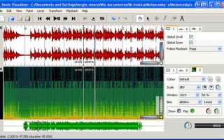 Sonic visualiser как пользоваться