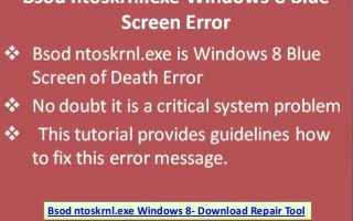 Nr server exe что это