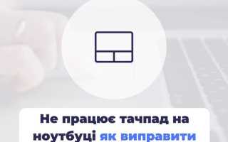 Как узнать модель тачпада на ноутбуке