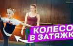 Как в реплит вернуться на шаг назад
