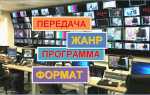 Как посмотреть повтор телепередачи
