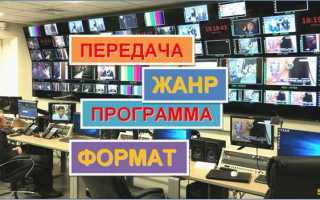 Как посмотреть повтор телепередачи