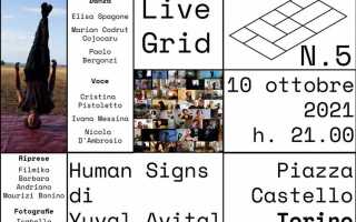 Live grid что это