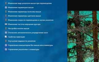 Почему в anydesk не работает мышка