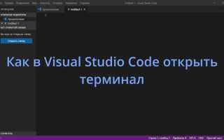 Как очистить терминал в visual studio code