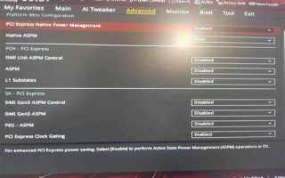 Pci express clock gating что это в биосе