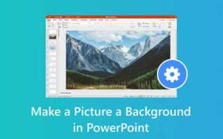 Как сделать фон для презентации powerpoint на телефоне