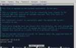 Как узнать dns сервер linux