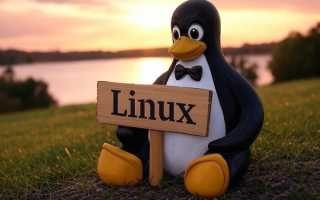 Европа бежит от ПО из США. Выпущен браузер для Linux