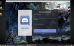 Discord canary что это