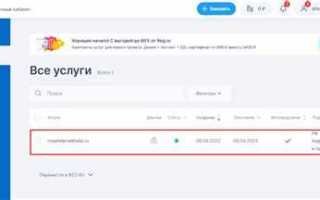 Nic ru или reg ru что лучше