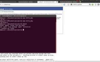 Php cli что это