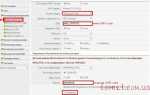 Как активировать lan порты на роутере netis