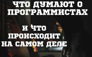 Как пользователи видят программистов