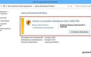 Google update что это за программа