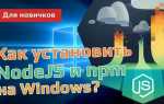 Как установить определенную версию node js