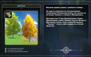 Renpy как лучше всего строить дерево