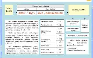 Как посмотреть байты в файле