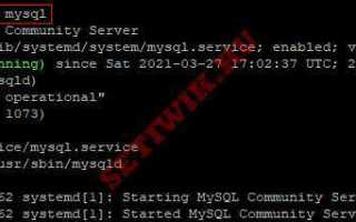Как посмотреть базы данных mysql ubuntu