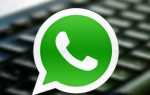 Что такое экспорт чата в whatsapp на айфоне
