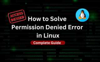 Permission denied termux что делать