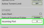 Почему не ограничивается скорость отдачи в utorrent
